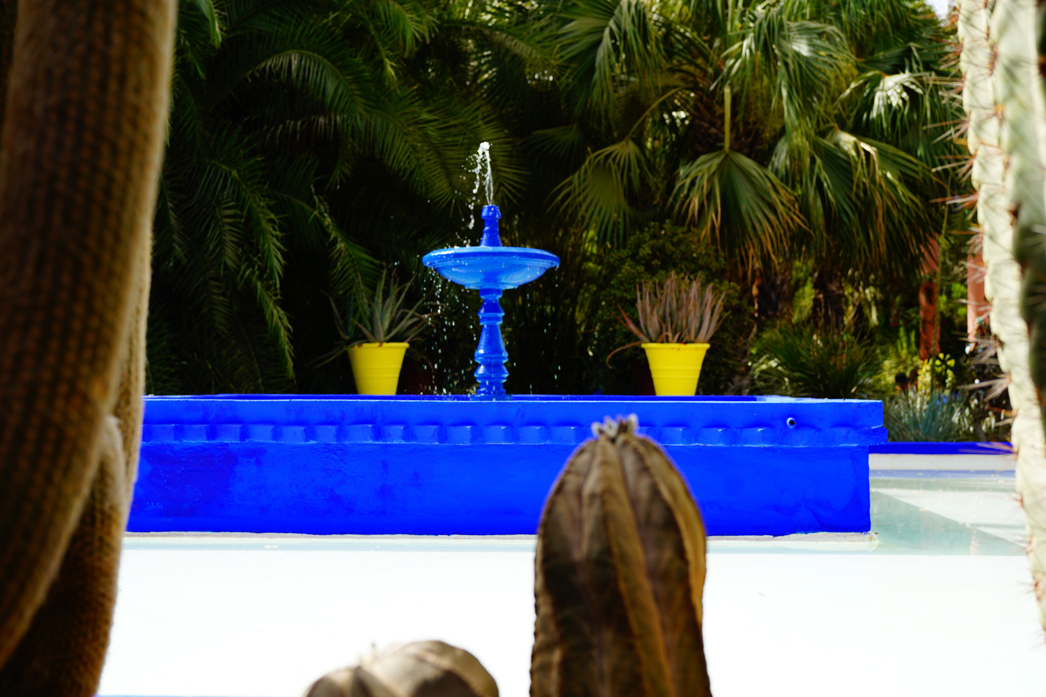 Jardin Majorelle — the blue fountain