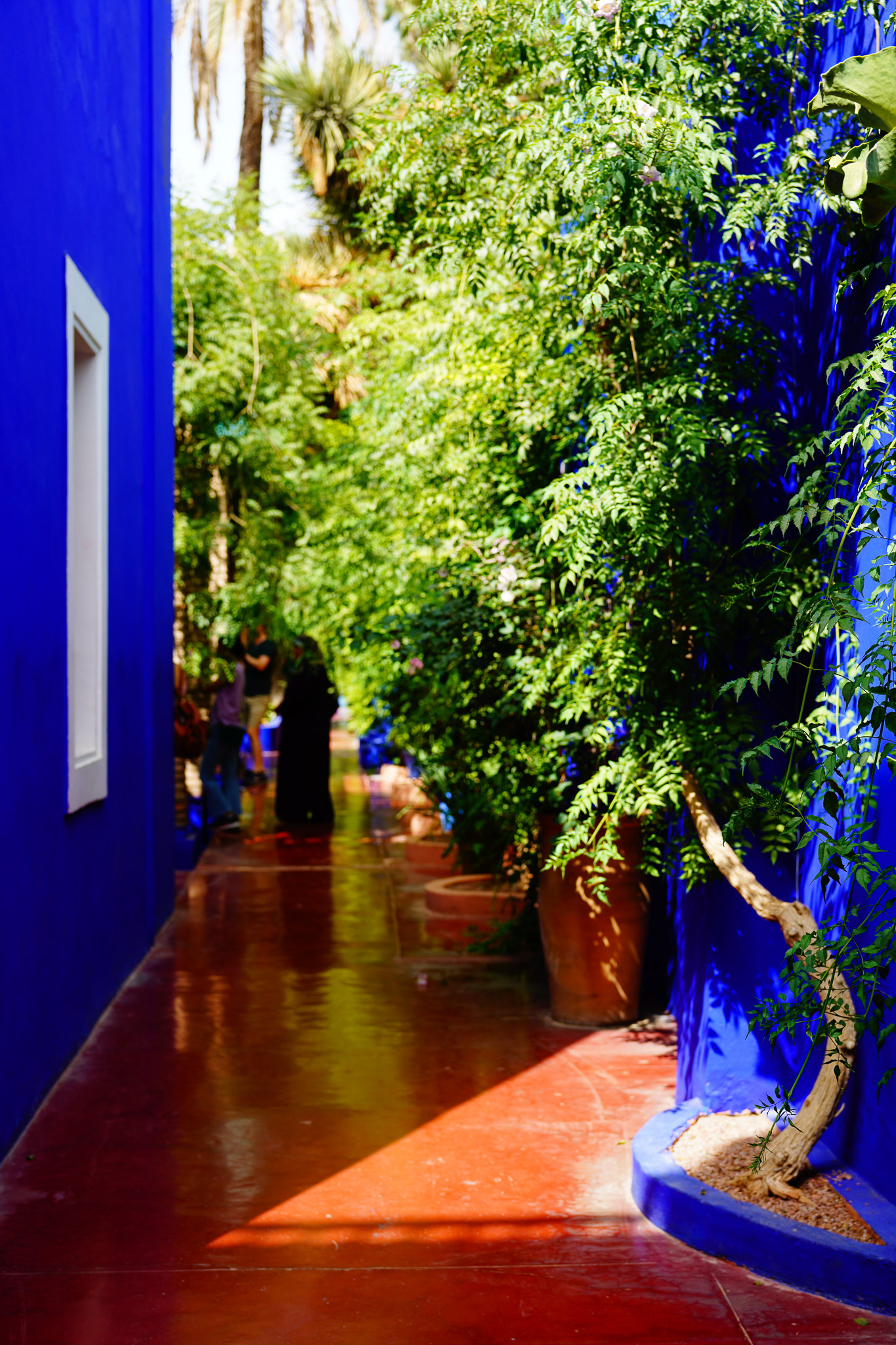 Jardin Majorelle — a blue passage between the plants
