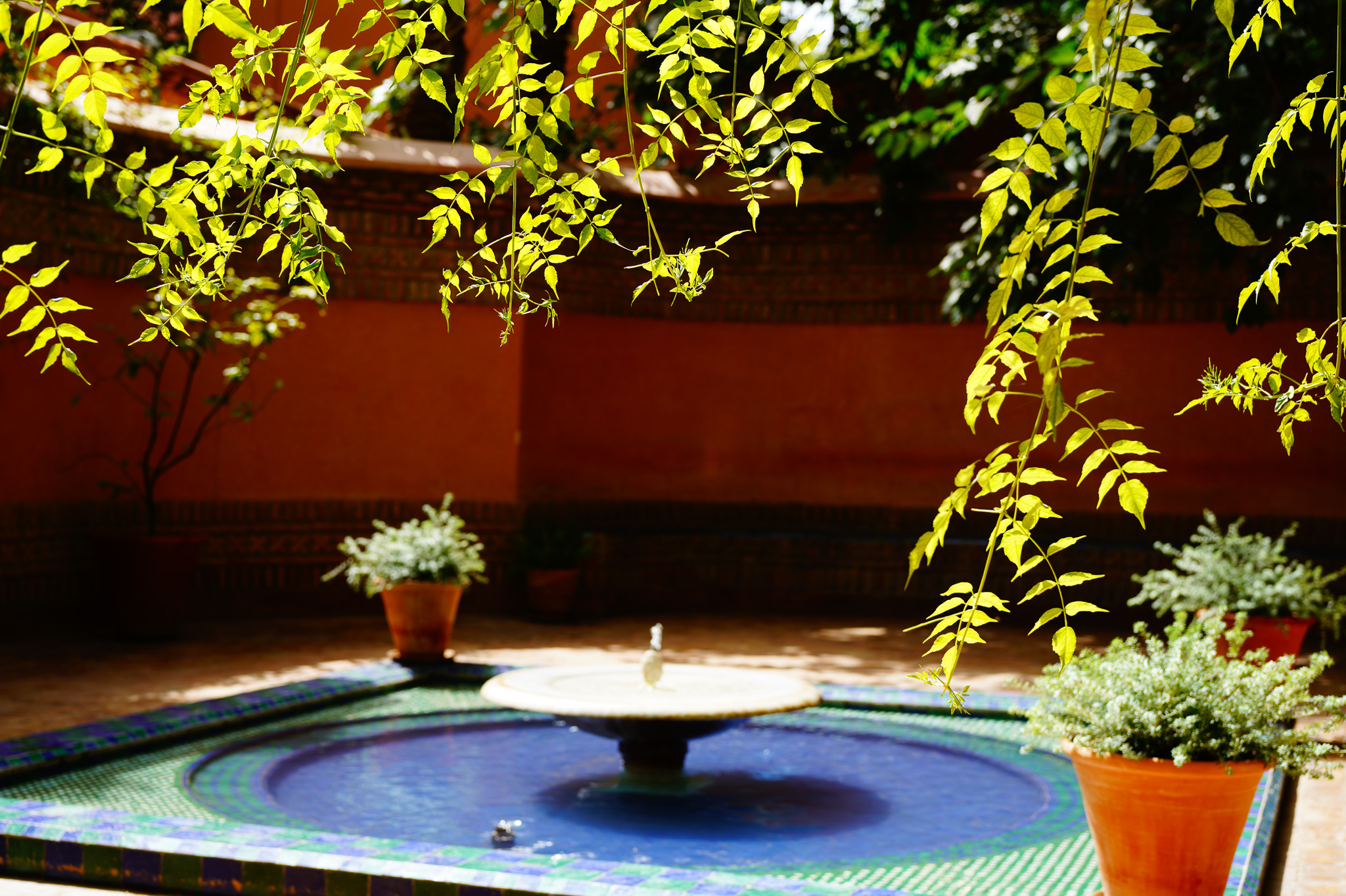 A courtyard fountain under leaves, Marrakesh