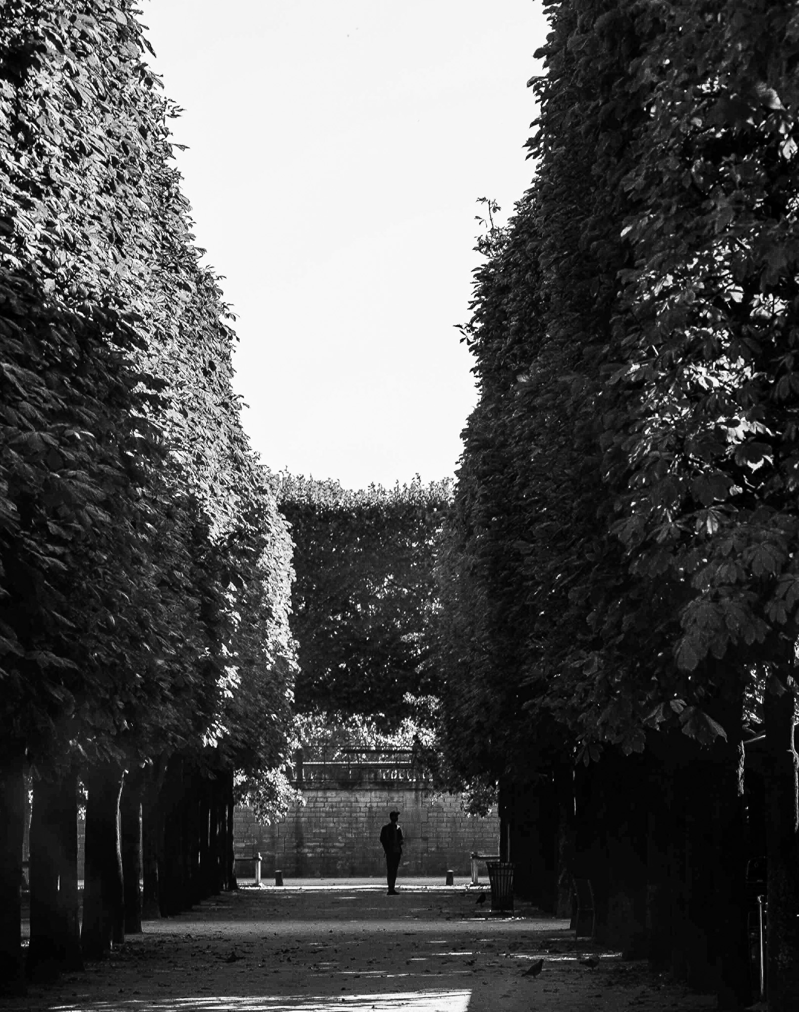 Paris — late evening